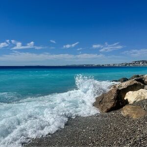 Meet your Posher, Bonita